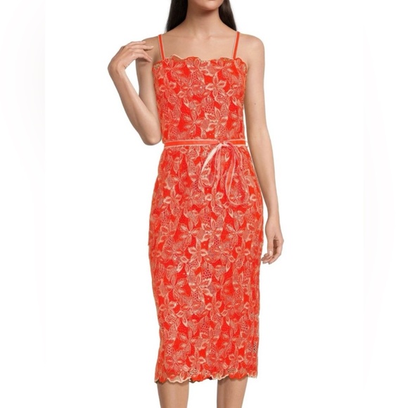 ALEX MARIE Crystal Lace Chasing Sunset Dress Size 14 NWT $218 Cocktail Evening - Picture 1 of 11